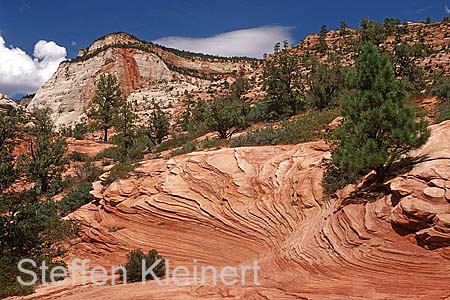 zion np - national park usa 041